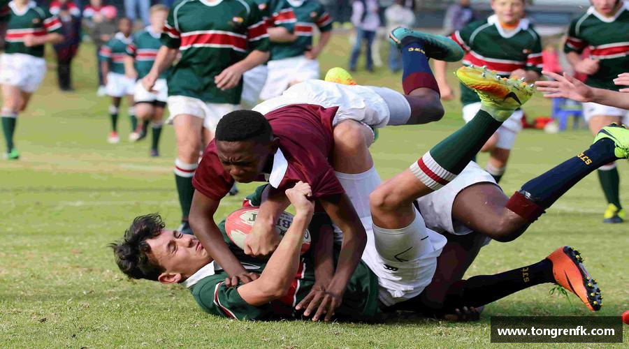 球速体育官方网站青春梦想，汇聚体育